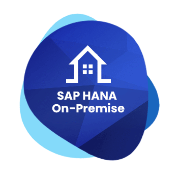 ERP---S4-HANA-On-Premise